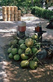 Auf der Halbinsel Lang Co: Verkauf von Brennholz, Kokosnüssen und Benzin