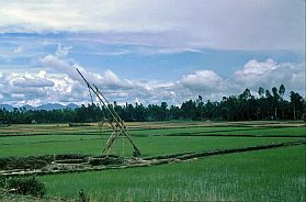 Landschaft bei Quang Ngai