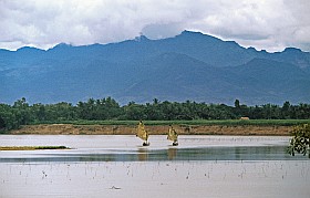 Landschaft bei Quang Ngai