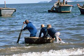 Qui Nhon - Transport mit dem Korbboot