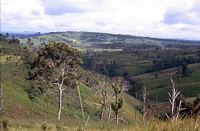 Landschaft bei Pleiku