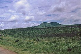 Landschaft bei Pleiku