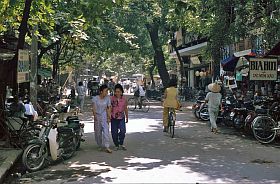 Hanoi - Altstadt: Baumbestandene Straen
