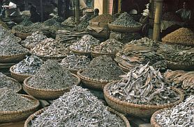 Hanoi-Altstadt: Getrockneter Fisch