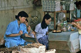 Hanoi-Altstadt: Hndler traditioneller Medizin