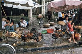 Hanoi-Altstadt: Geflgelhndler