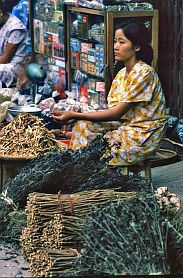 Hanoi-Altstadt: Hndler traditioneller Medizin