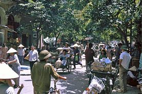 Hanoi - Altstadt: Baumbestandene Straen