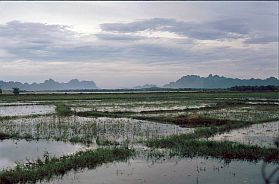 Landschaft bei Ninh Binh