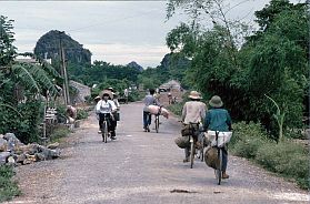 Schweinetransport auf dem Fahrrad