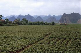 Landschaft bei Ben Duc