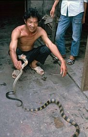 Le Mat: Schlangenhndler