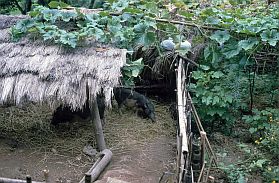 Hoa Binh: Huser der Muong - Schweinestall