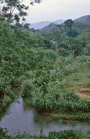 Hoa Binh: Huser der Muong