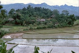 Hoa Binh: Muongdorf