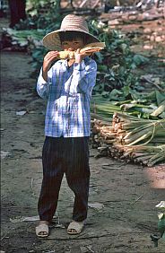 Dien Bien: Markt - Junge mit Maiskolben