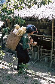 Thai-Frau mit Kiepe voller Bambussprossen