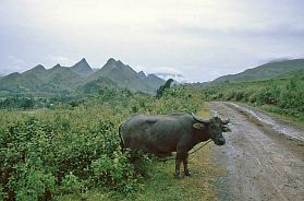 Landschaft zwischen lai Chau und Sa Pa