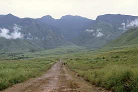 Landschaft zwischen lai Chau und Sa Pa