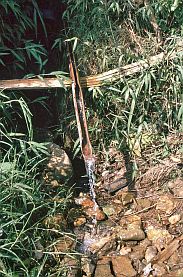 Sa Pa: Wasserleitung mit Bambusröhren