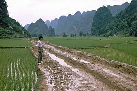 Strae zu den Ban Gioc Wasserfllen