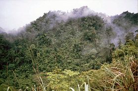 Landschaft zwischen Cao bang und lang Son