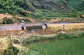 Landschaft zwischen Cao bang und lang Son